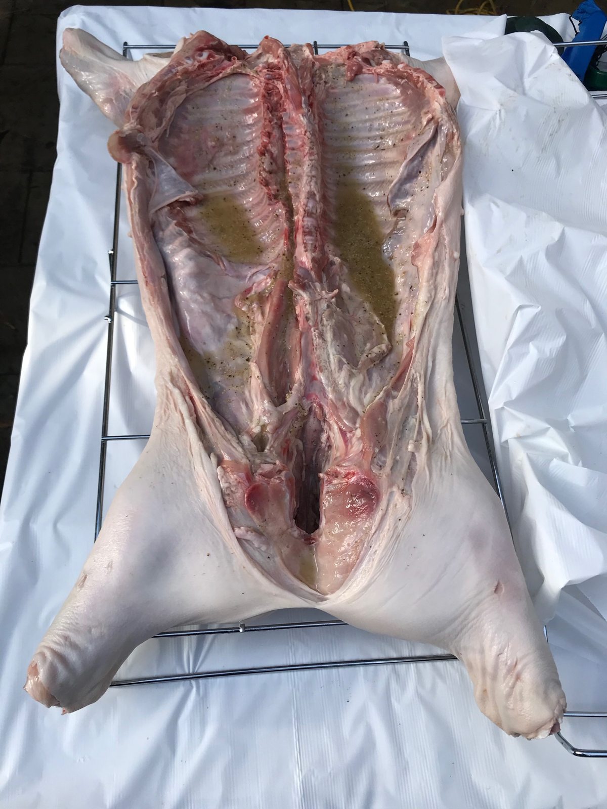 Butterflied raw whole hog on a covered preparation table