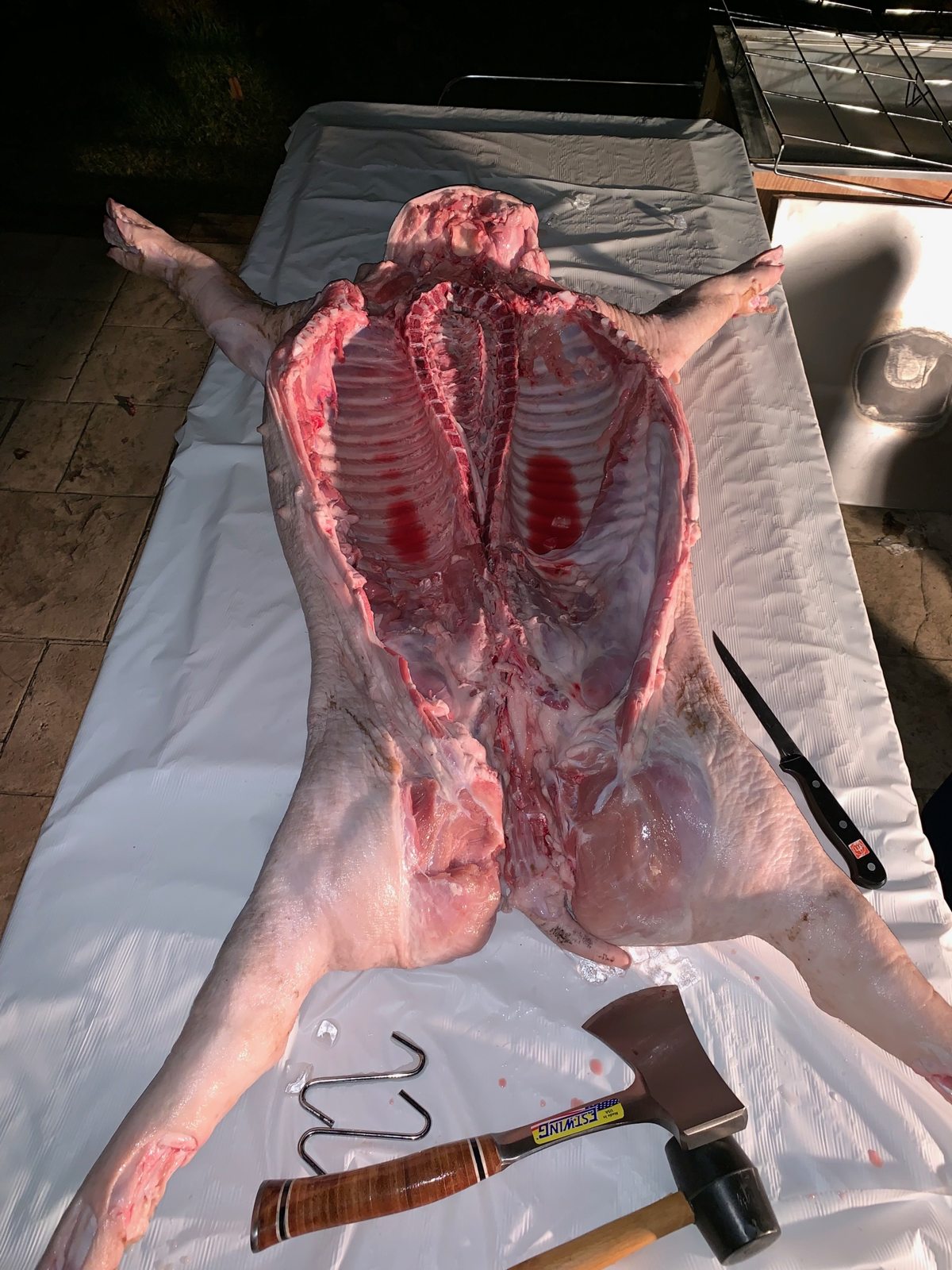 Raw whole hog opened out on the preparation table