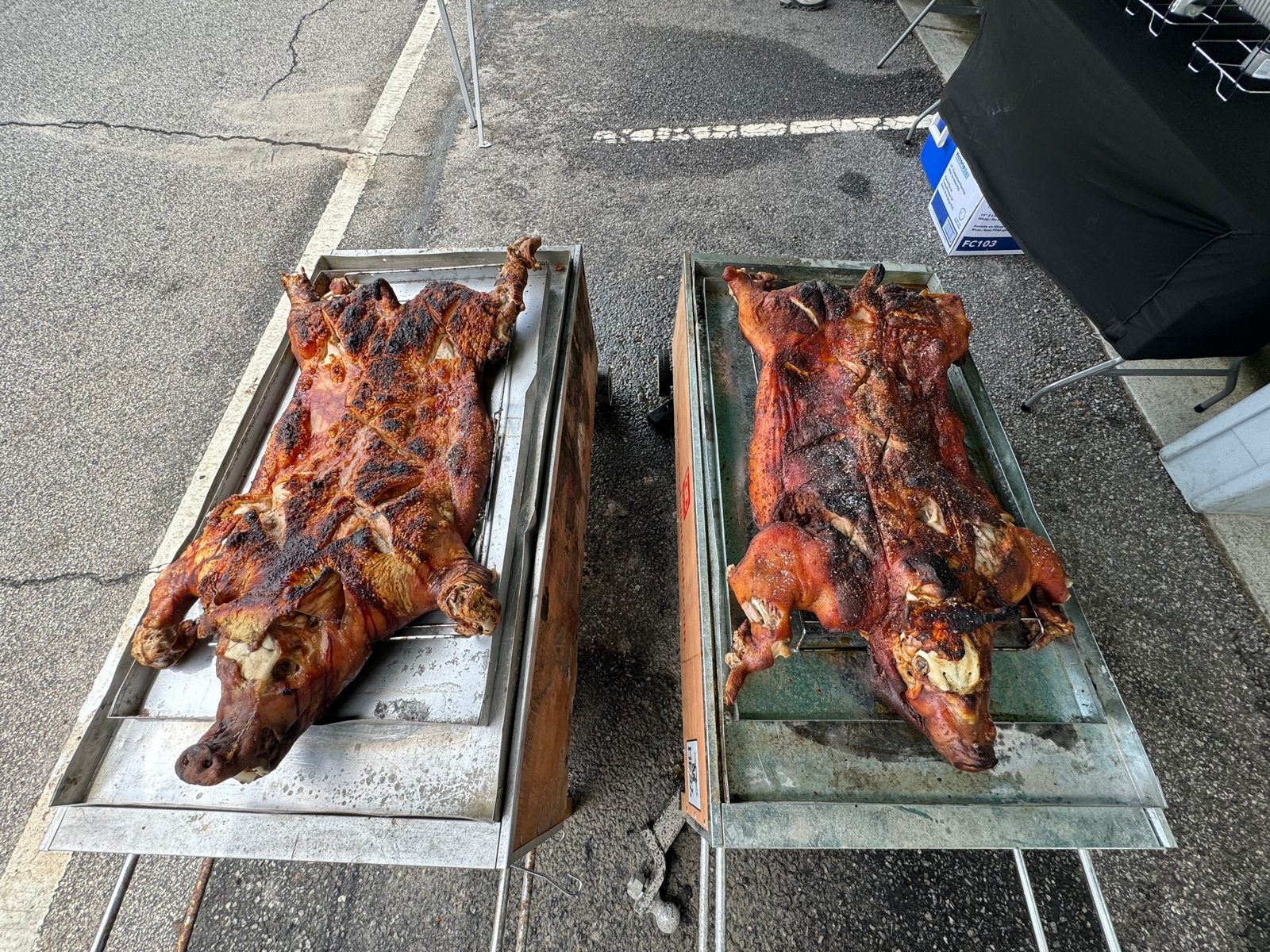 Two finished whole roasted hogs displayed side by side on their roasting boxes